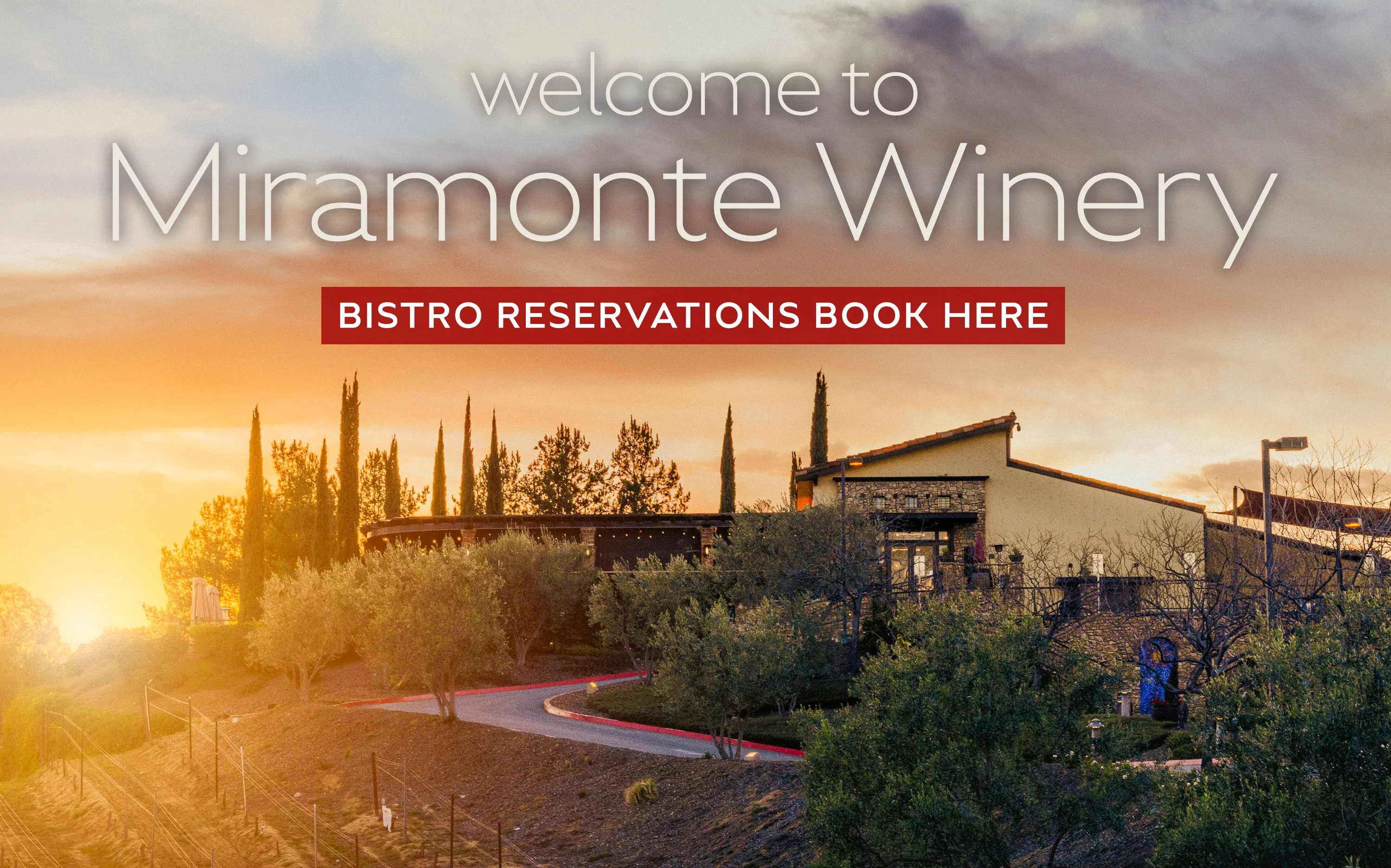 Elegance in Every Pour